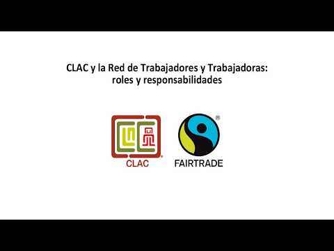 Categoría de Auxiliar de Servicios: Roles y Responsabilidades Explorados