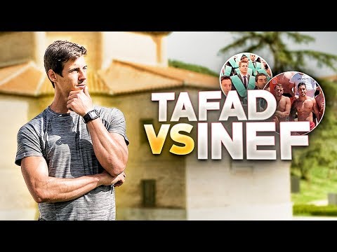 Diferencias clave entre INEF y CAFD: ¿Cuál elegir?