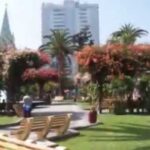 Opciones educativas para enriquecer tu vida a los 60 años.