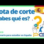 Factores determinantes en la nota de corte universitaria: una visión general