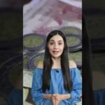 El salario promedio de un funcionario nivel 24: Descubre cuánto.